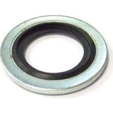 Dichtring 422.090