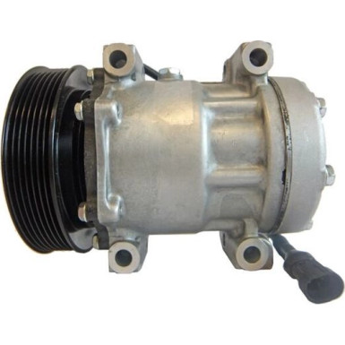Mahle Kompressor, Klimaanlage BEHR ACP 165 000S