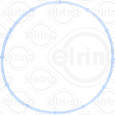 Elring Dichtung, Ansaugkrümmergehäuse 924.470