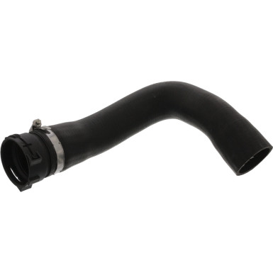 FEBI BILSTEIN 46243 Kühlerschlauch FEBI BILSTEIN 46243 Kühlerschlauch