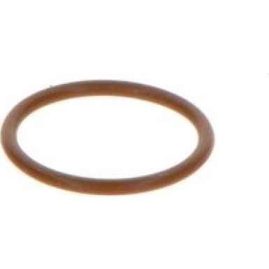 BOSCH Dichtring F 00V P01 005