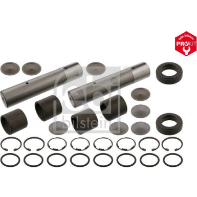 FEBI BILSTEIN 05931 Reparatursatz, Achsschenkelbolzen