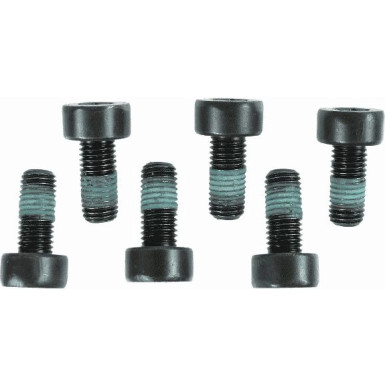 Sachs Schraubensatz, Schwungrad 1874 000 004