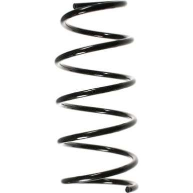 Spidan Fahrwerksfeder 48529