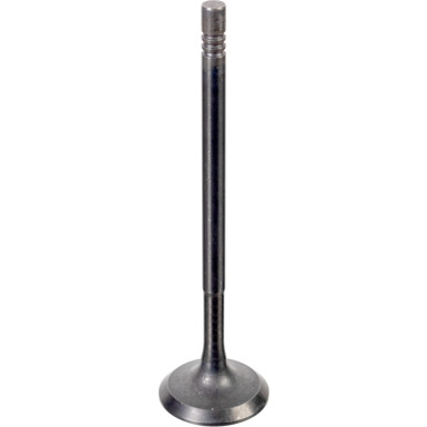 FEBI BILSTEIN 176538 Einlassventil FEBI BILSTEIN 176538 Einlassventil