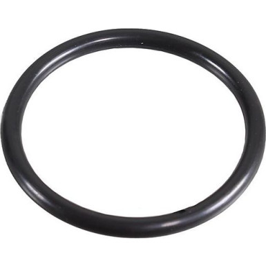 Metzger Dichtring 2430067