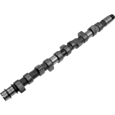 INA Nockenwelle 428 0079 10