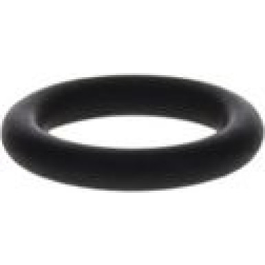 BOSCH Dichtring 1 460 210 301