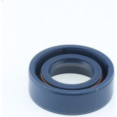 Dichtring 12010773B