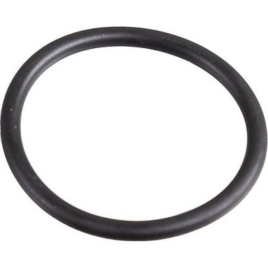 Metzger Dichtring 2430102