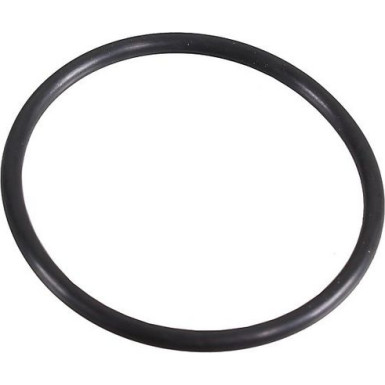 Metzger Dichtring 2430106
