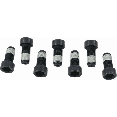 Sachs Schraubensatz, Schwungrad 1874 000 043