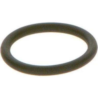BOSCH Dichtring F 00R J01 452