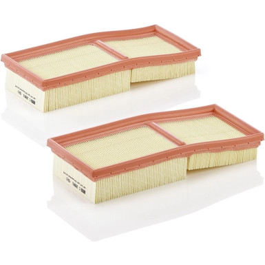 MANN-FILTER C 2861-2 Luftfilter