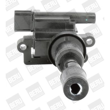 BorgWarner (BERU) Zündspule ZSE193