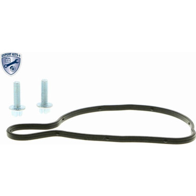 Vaico Wasserpumpe Expert Kits + V10-50063