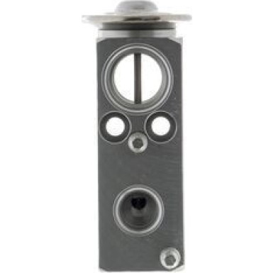 Mahle Expansionsventil, Klimaanlage BEHR Premium Line AVE 77 000P