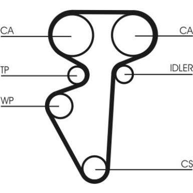 Zahnriemen CT996