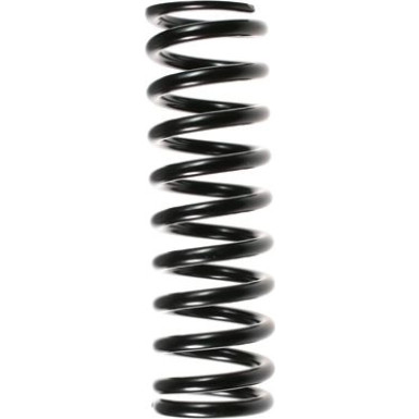 Spidan Fahrwerksfeder 48679