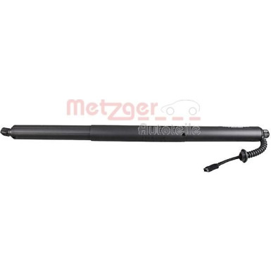 Metzger 2 x METZGER Elektromotor, Heckklappe 2115005