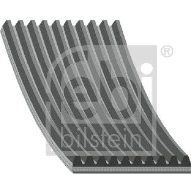 FEBI BILSTEIN 34339 Keilrippenriemen