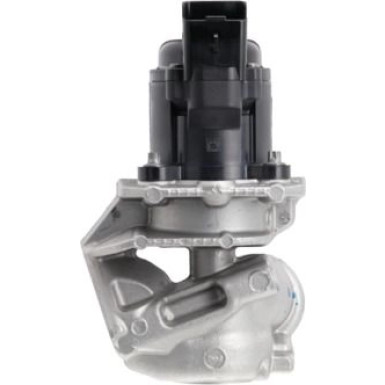 Valeo AGR-Ventil 700474