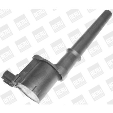BorgWarner (BERU) Zündspule ZS369
