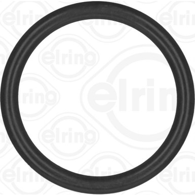 Dichtring 788.770 Dichtring 788.770