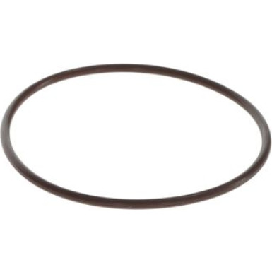 BOSCH Dichtring F 00N 201 473