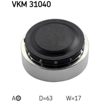 SKF Spannrolle, Keilrippenriemen VKM 31040