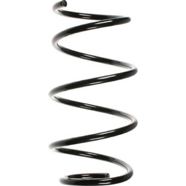 Spidan Fahrwerksfeder 55080