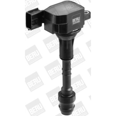 BorgWarner (BERU) Zündspule ZSE079