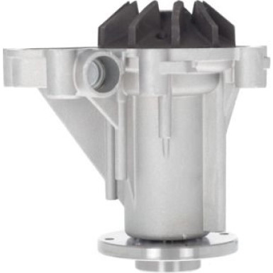 Valeo Wasserpumpe, Motorkühlung 529527