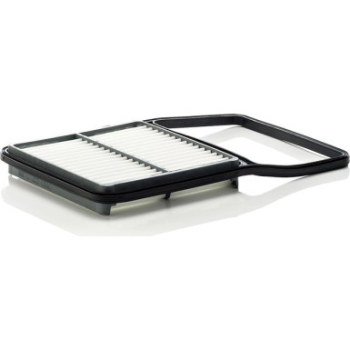 MANN-FILTER C 29 002 Luftfilter