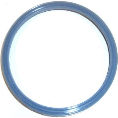 Elring Dichtung, Ansaugkrümmergehäuse 575.500