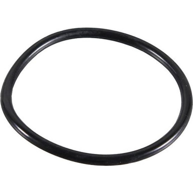 Metzger Dichtring 2430133