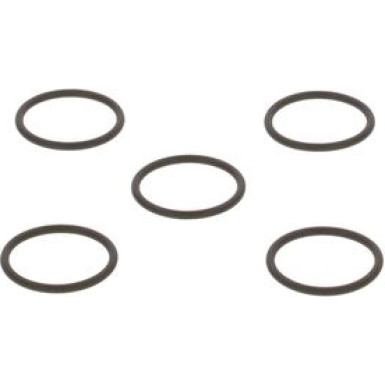 BOSCH Dichtring F 00R J01 878