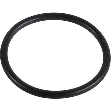 Metzger Dichtring 2430007