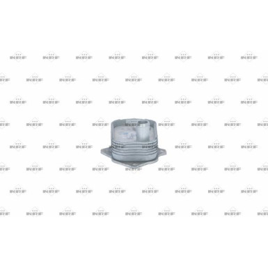 NRF Ölkühler, Motoröl 31807