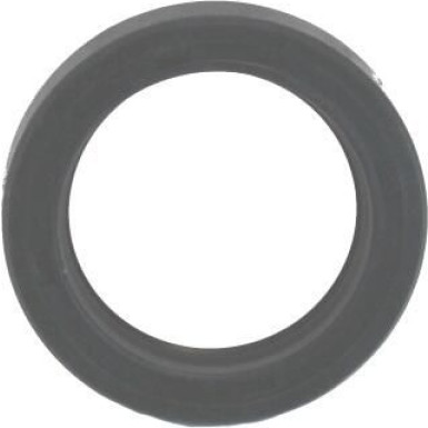 Dichtring 19020411B Dichtring 19020411B