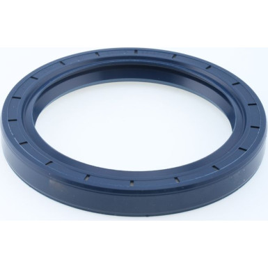 Dichtring 12011195B