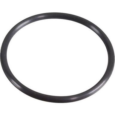 Metzger Dichtring 2430134
