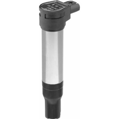 BorgWarner (BERU) Zündspule ZS385