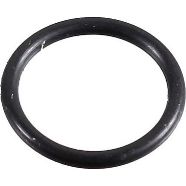 Metzger Dichtring 2430081