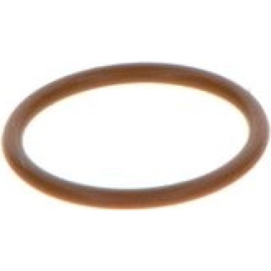 BOSCH Dichtring F 00V P01 005