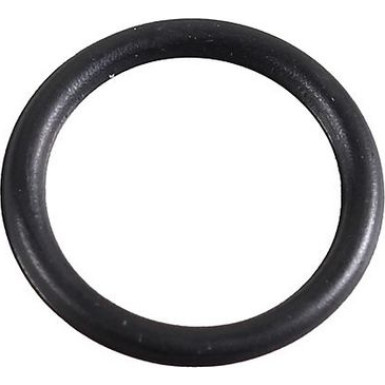 Metzger Dichtring 2430028