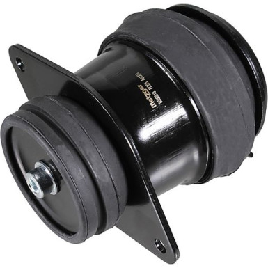 Metzger Lagerung, Motor 8050819