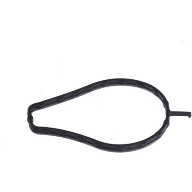 Valeo Wasserpumpe, Motorkühlung 529521