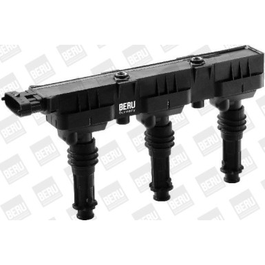 BorgWarner (BERU) Zündspule ZS358