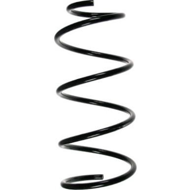 Spidan Fahrwerksfeder 48745